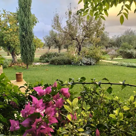 Tenuta Donna Giulia Srls * Cursi
