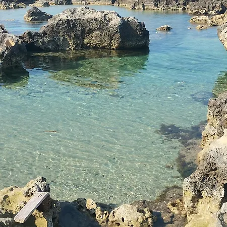 Tenuta Donna Giulia Srls *